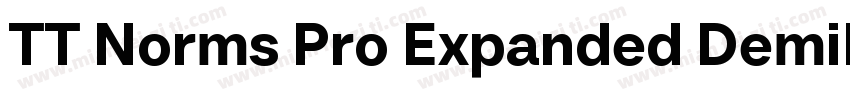 TT Norms Pro Expanded DemiBold Ital字体转换